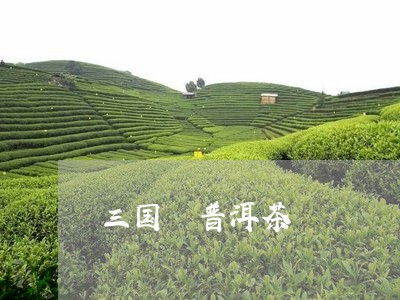 三国 普洱茶/2023042580622